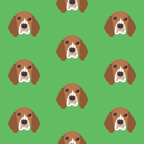 Beagle on Green