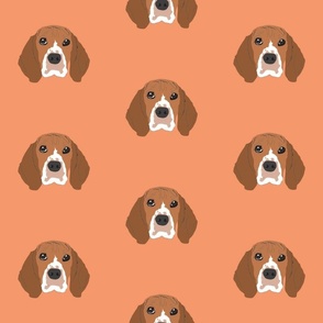 Beagle on Orange