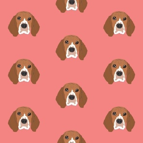 Beagle on Pink