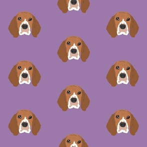 Beagle on Purple