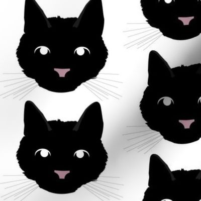 Black Cat with Bored Facial Expression