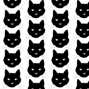 Black Cat with Bored Facial Expression