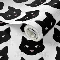 Black Cat with Crossed Eyes