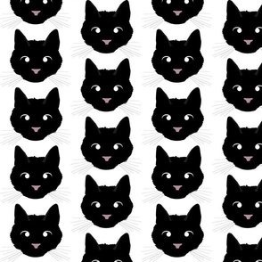 Black Cat with Crossed Eyes