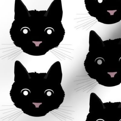 Black Cat with Surprised Facial Expression