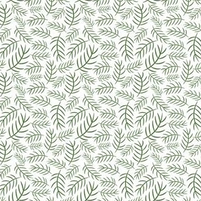 Minimal design with green pine branches