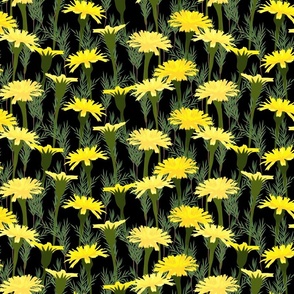 Yellow Dandelion Garden