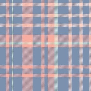 Cute Blue and Pink Tartan Plaid