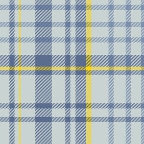 Yellow and Blue Tartan Plaid