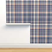 Masculine Blue Plaid for Boys & Baby Boy Nursery Room Walls