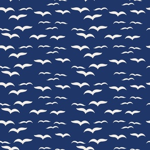 Ocean Birds on Navy