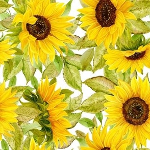 Sunflowers Bright