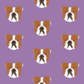 Bulldog on Purple