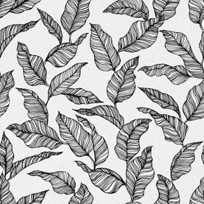 Line Drawn Tropical Leaves in Black and White (Large Scale)