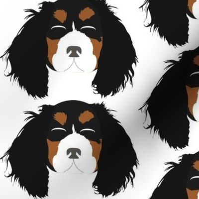 Cavalier King Charles Spaniel Black, Brown and White with Closed Eyes