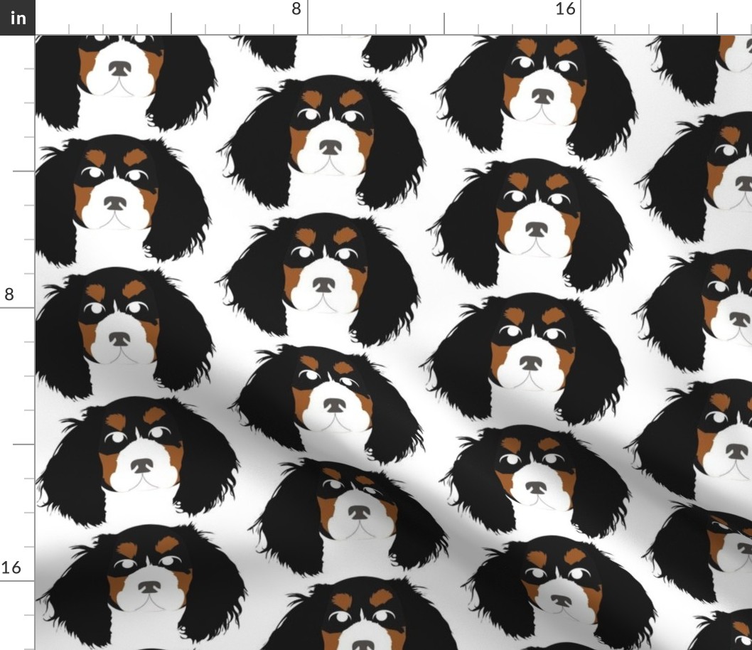 Cavalier King Charles Spaniel Black, Brown and White with Bored Facial Expression