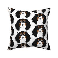 Cavalier King Charles Spaniel Black, Brown and White with Crossed Eyes