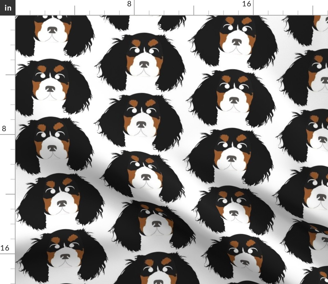 Cavalier King Charles Spaniel Black, Brown and White with Crossed Eyes