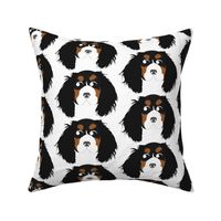 Cavalier King Charles Spaniel Black, Brown and White Looking Left