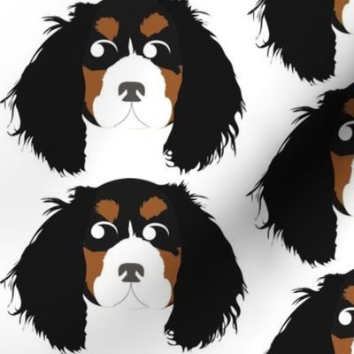 Cavalier King Charles Spaniel Black, Brown and White Looking Left