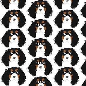 Cavalier King Charles Spaniel Black, Brown and White Looking Right