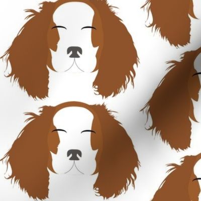 Cavalier King Charles Spaniel Brown and White with Closed Eyes