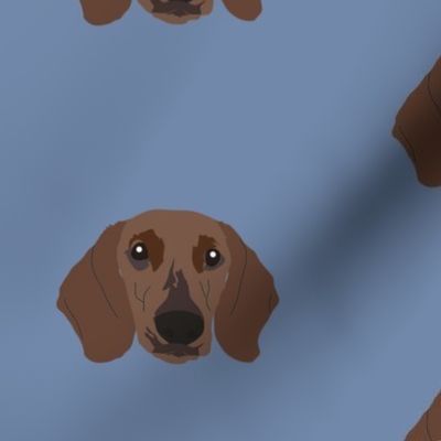 Dachshund on Blue