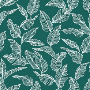 Line Drawn Tropical Leaves in Jade (Large Scale)