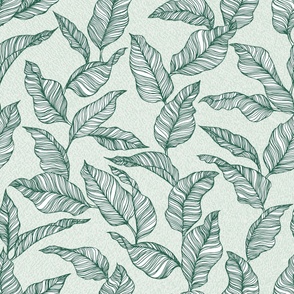 Line Drawn Tropical Leaves in Sage Green (Large Scale)