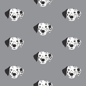 Dalmatian on Gray