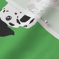 Dalmatian on Green