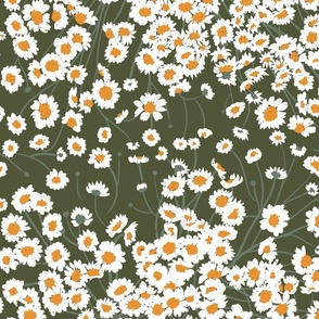 Wild Chamomile (Large), White Flowers, Daisy Print, Daises Pattern, Orange Yellow Wildflowers, Mountain Floral, Nature 