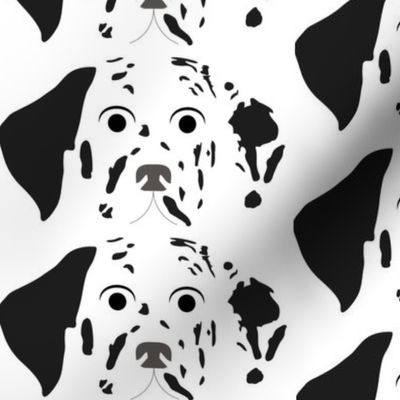 Dalmatian with Surprised Facial Expression