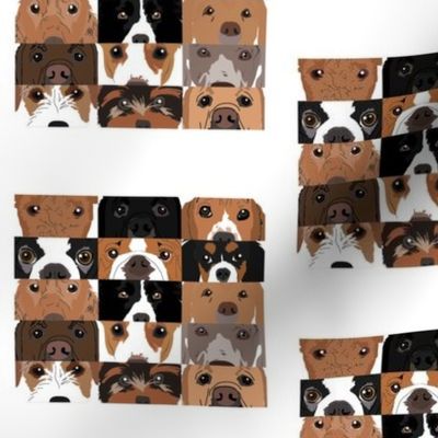 Dog Collage 1