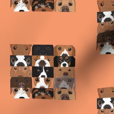 Dog Collage 1 on Orange