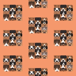 Dog Collage 1 on Orange