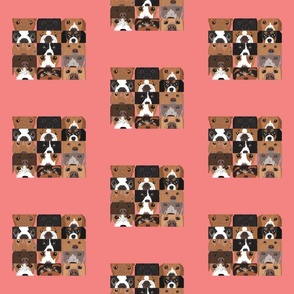Dog Collage 1 on Pink