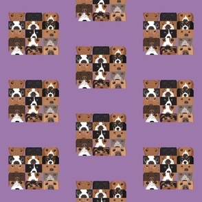 DogCollage_purple