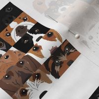 Dog Collage 2