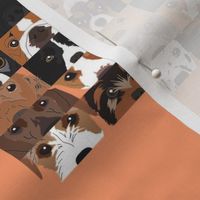 Dog Collage 2 on Orange