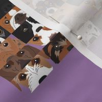 Dog Collage 2 on Purple