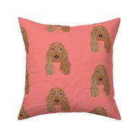 English Cocker Spaniel on Pink