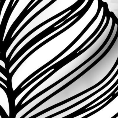 Line Drawn Tropical Leaves in Black and White (Medium Scale)