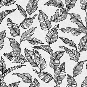 Line Drawn Tropical Leaves in Black and White (Medium Scale)