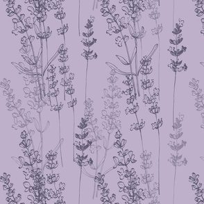 Lavender Wildflower