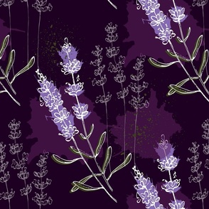 Wildflower lavender