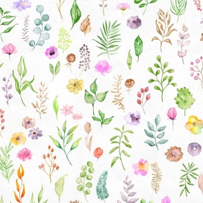 watercolor meadow- hand painted floral watercolor greenery plants leaves botanical branches and twigs , different flowers over vintage white background