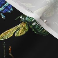 Multi-directional entomology style illustration of iridescent insects on a black background with vintage linen texture