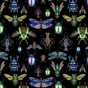 Multi-directional entomology style illustration of iridescent insects on a black background with vintage linen texture