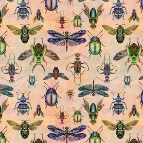 Multi-directional hand drawn entomology style illustration of iridescent insects on a peach background with vintage linen texture